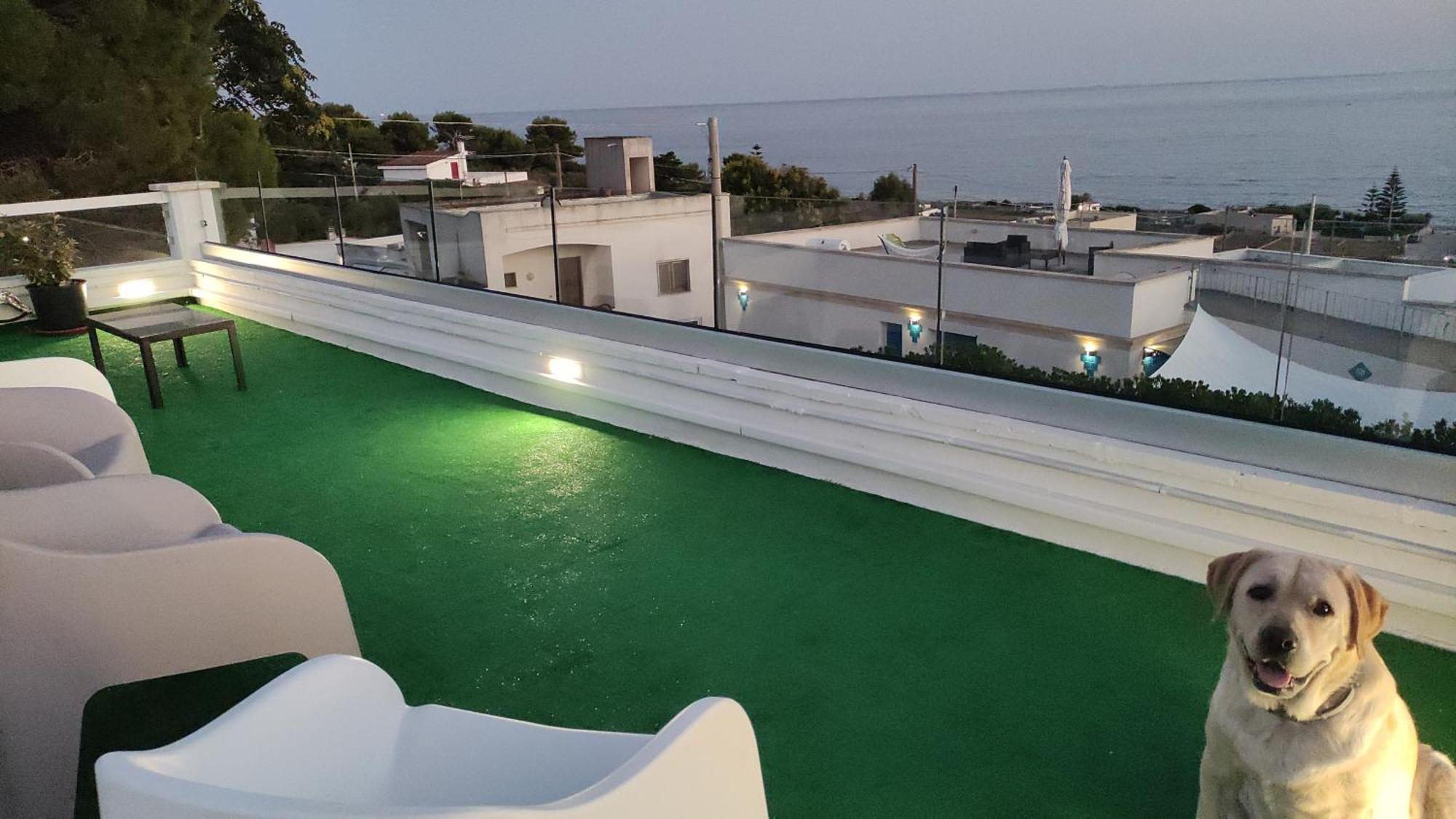 Villa Stella Torre Vado Exteriér fotografie